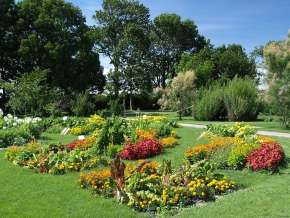 Beetgestaltung Veronika walz Stadtgartenamt Wien