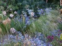 Gartenberatung mit Veronika Walz
