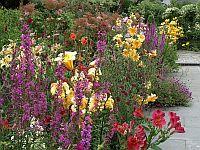 Gartenreise Irland