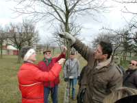 Obstbaumschnittkurs Wolfgang Schuler